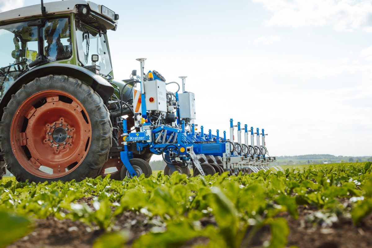 Bodennahe Aufnahme der In-Row Hacke im Bestand